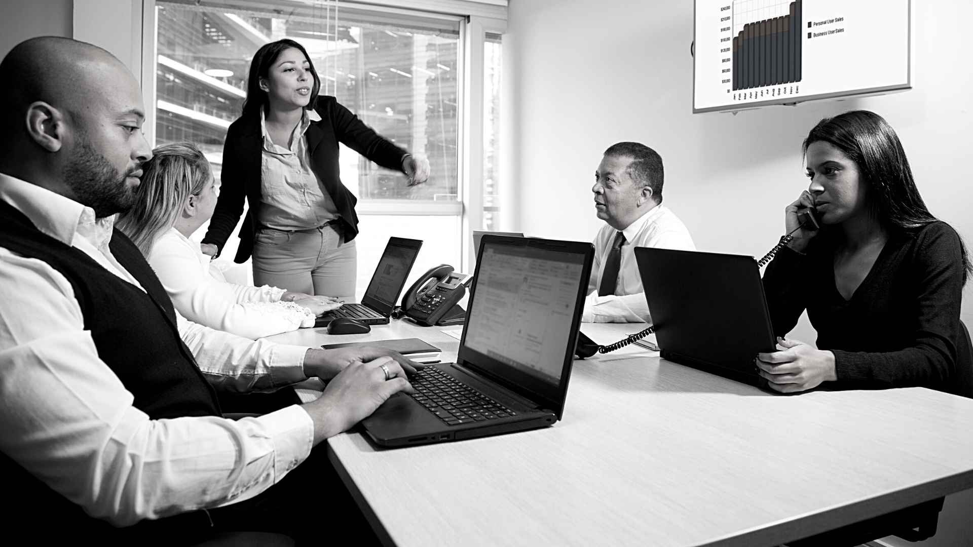 red-bear-fact-sheet-header