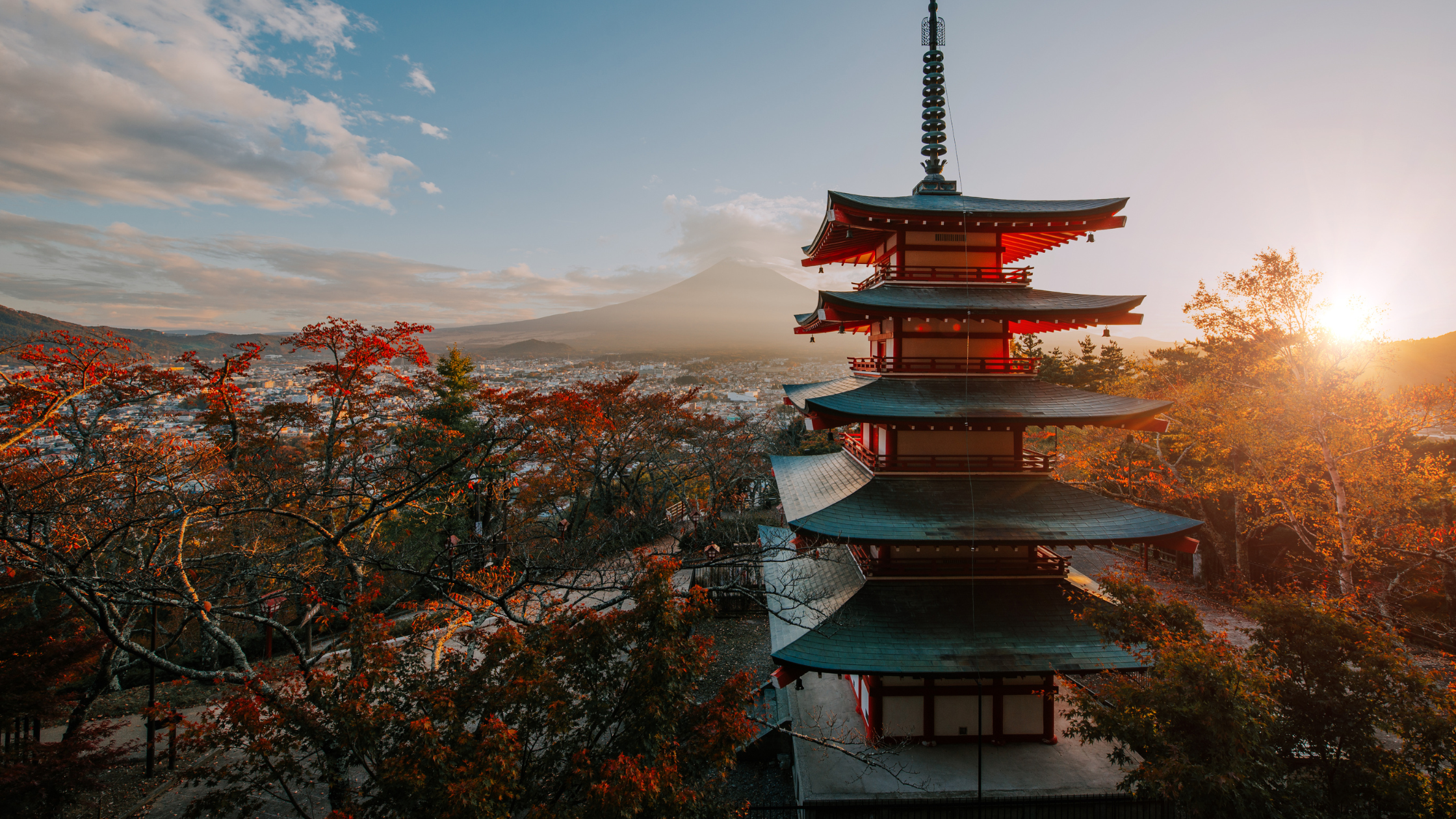 Negotiations in the GCC-Japan Free Trade Agreement
