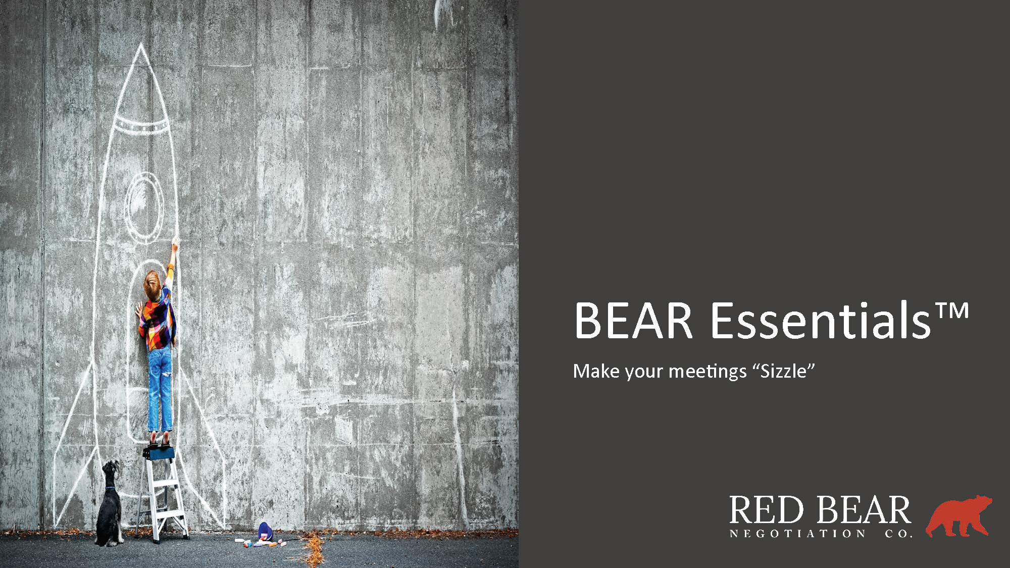 BEAR-Essentials-Executive-Overview_FINAL_Page_1